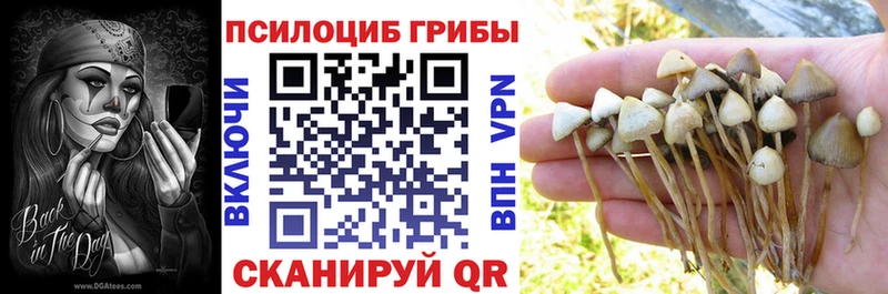 гидра tor купить наркотики сайты Приозерск Псилоцибиновые грибы Magic Shrooms